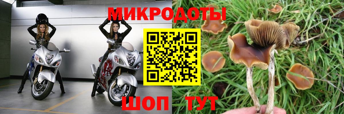 Псилоцибиновые грибы мухоморы Спасск-Дальний